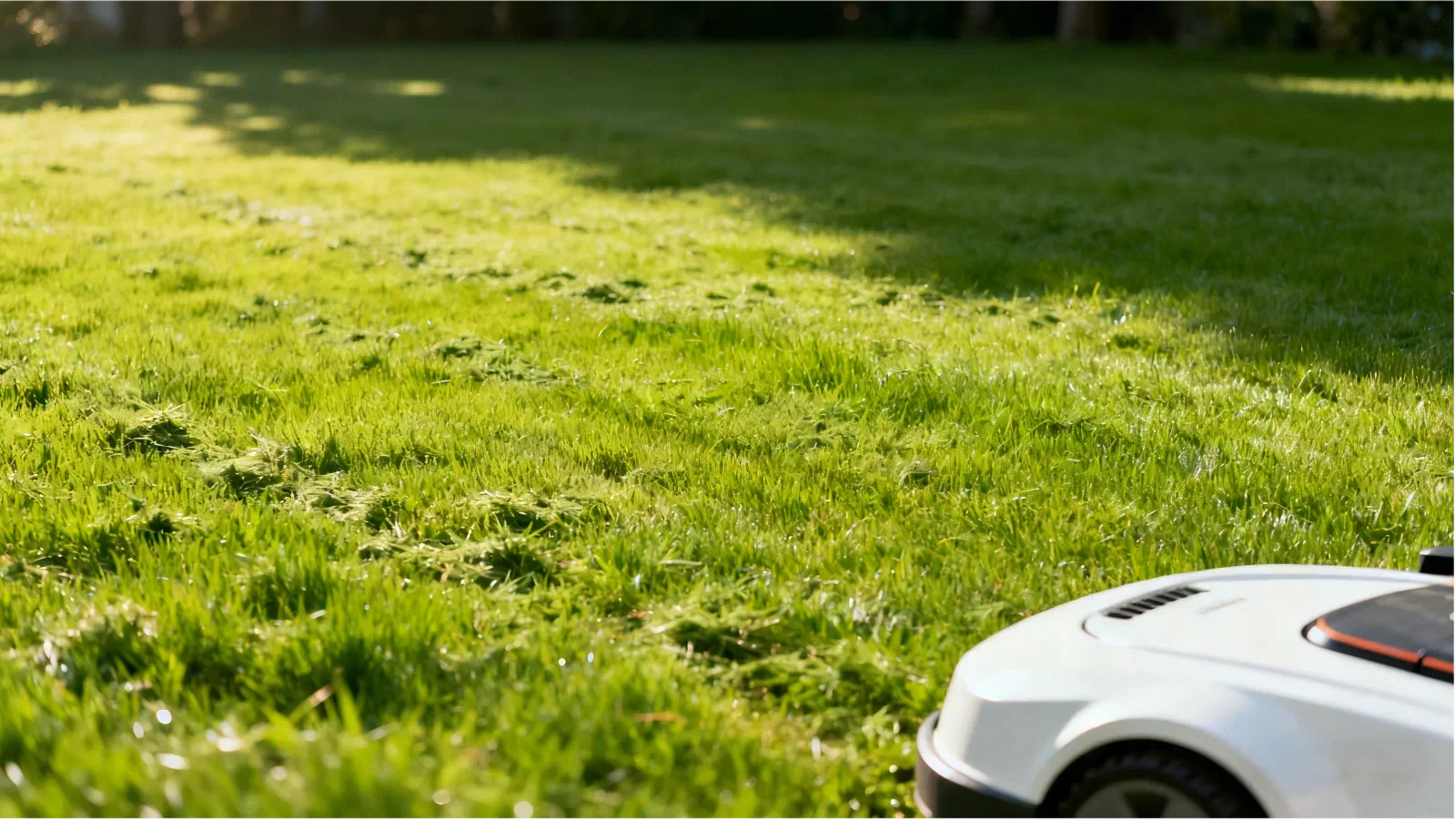 Een weelderig en diepgroen gazon als resultaat van regelmatig gras mulchen.