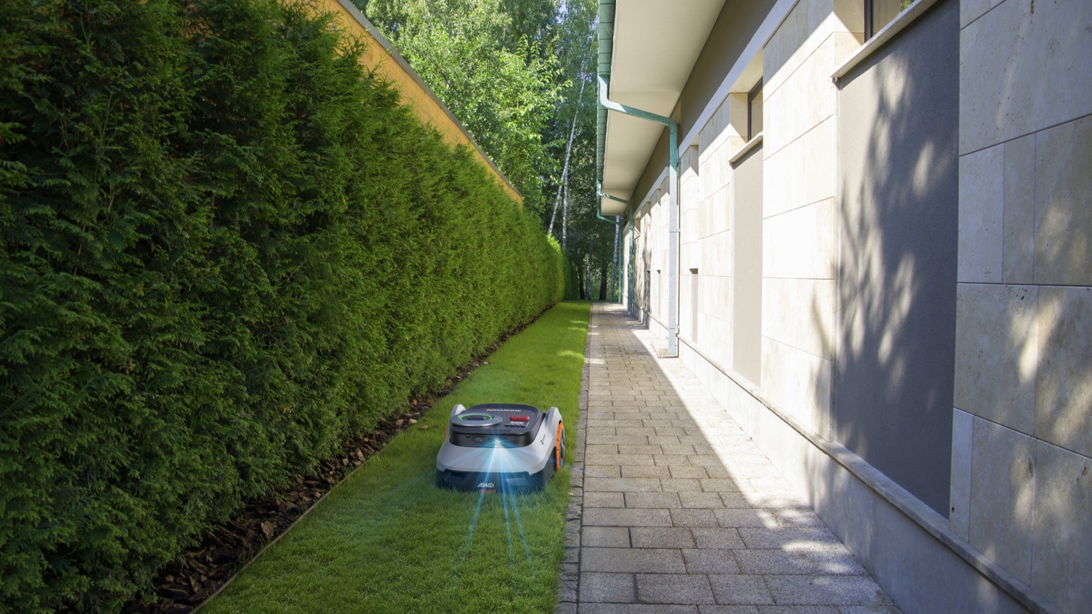 Een robotmaaier voor kleine tuinen snijdt het gras in een smal pad tussen de heg en het huis.