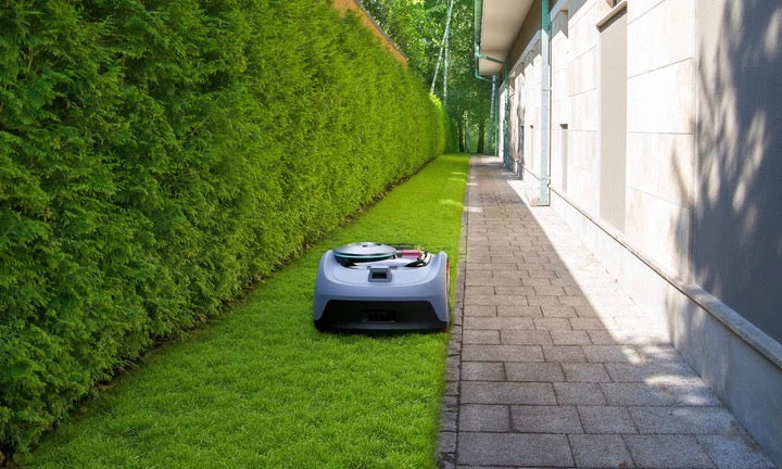 Self-Propelled Mower vs. Push Mower: Read This Before You Buy!