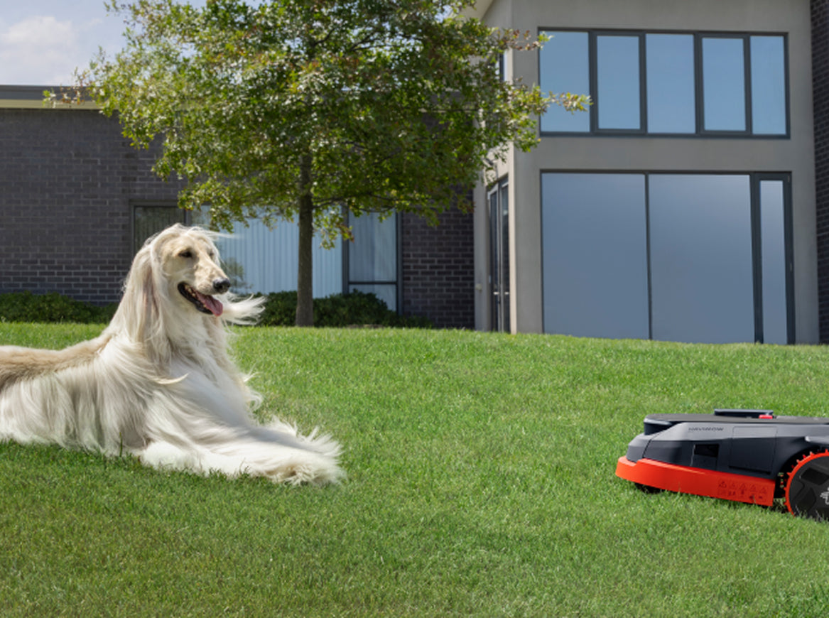 VisionFence Technology: The Vision and AI-Driven Innovation of Intelligent Mowing