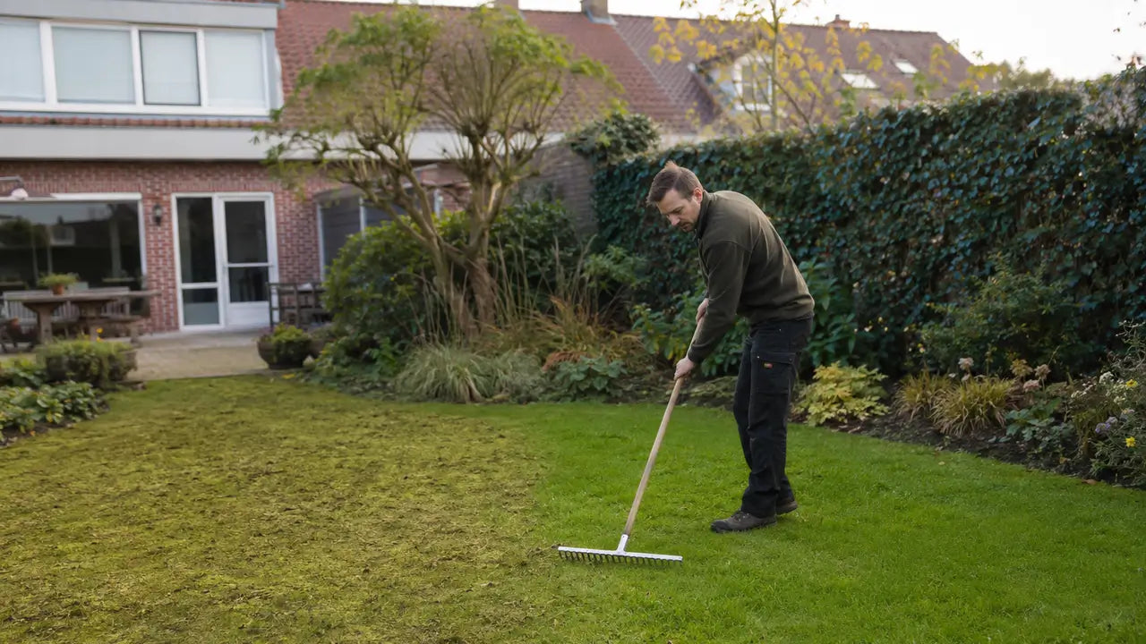 Een man harkt het losgekomen dode gras en mos bij elkaar om het gazon vrij te maken en voor te bereiden op het doorzaaien.