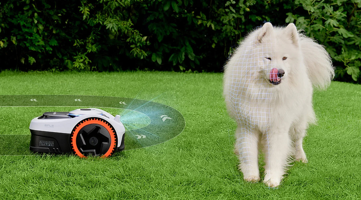 Witte langharige hond met roze bal op een groen gazon naast een draadloze robotmaaier met oranje wielen.