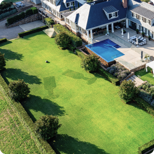 Get Creative with Doodle