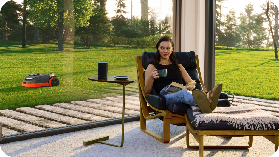 Mow with Alexa and Google Home