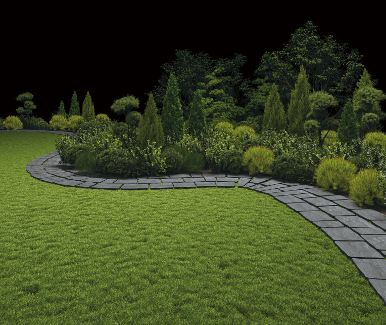 Dichte beplanting en wildgroei