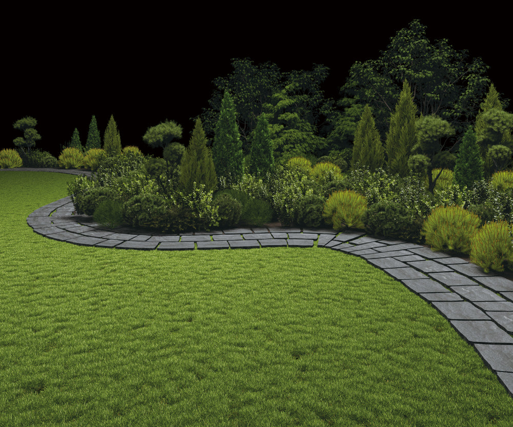 Dichte beplanting en wildgroei