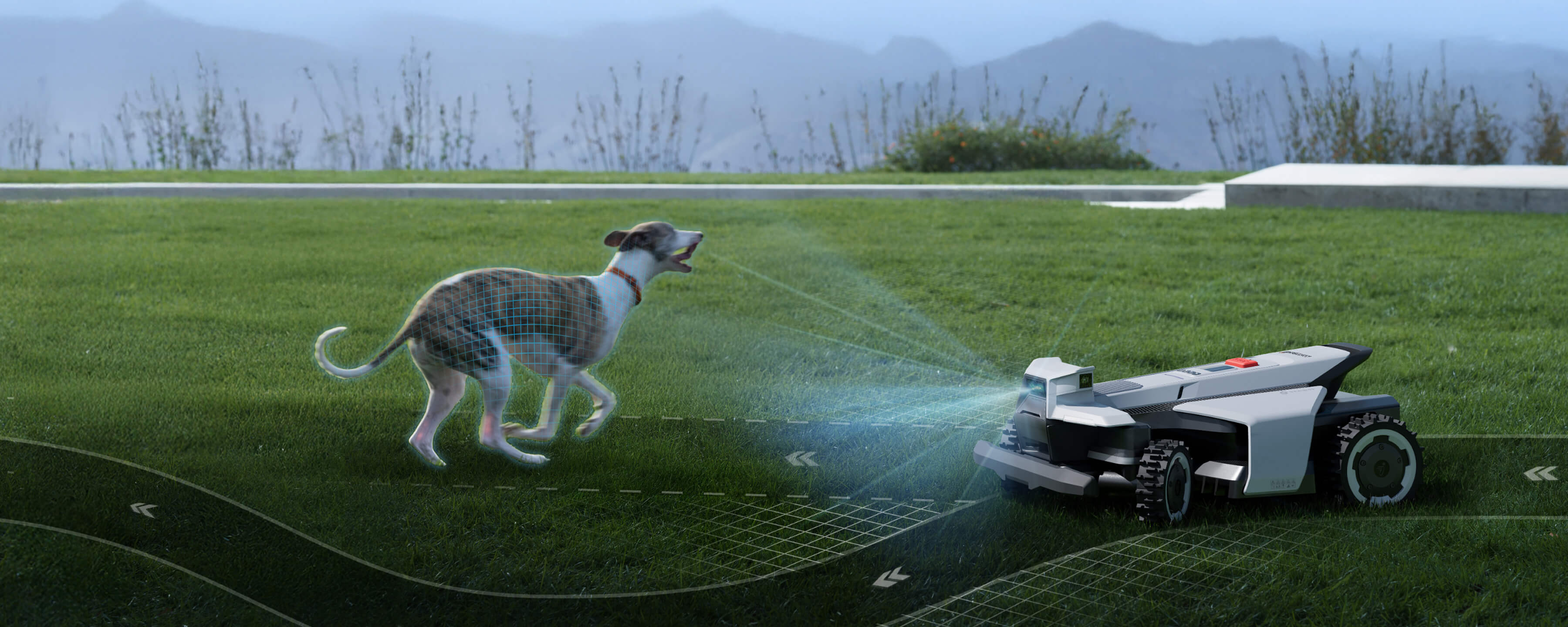 Navimow i105E robotmaaier ziet hond rennen op het groene gras.